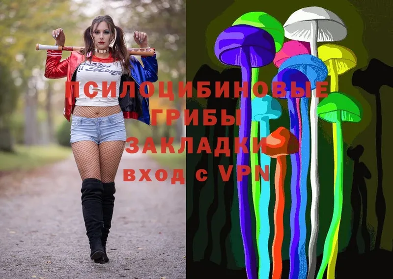 магазин    Бирюч  Псилоцибиновые грибы Cubensis 