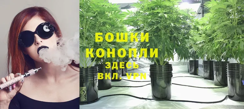 закладки  МЕГА как войти  Конопля White Widow  Бирюч 